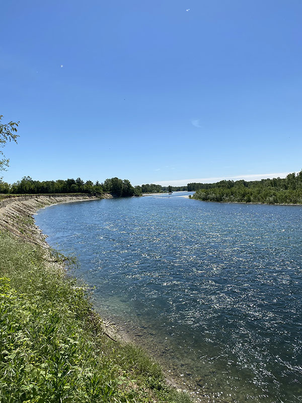 Grande-ansa-Fiume-Ticino-che-si-perde-all'orizzionte-1