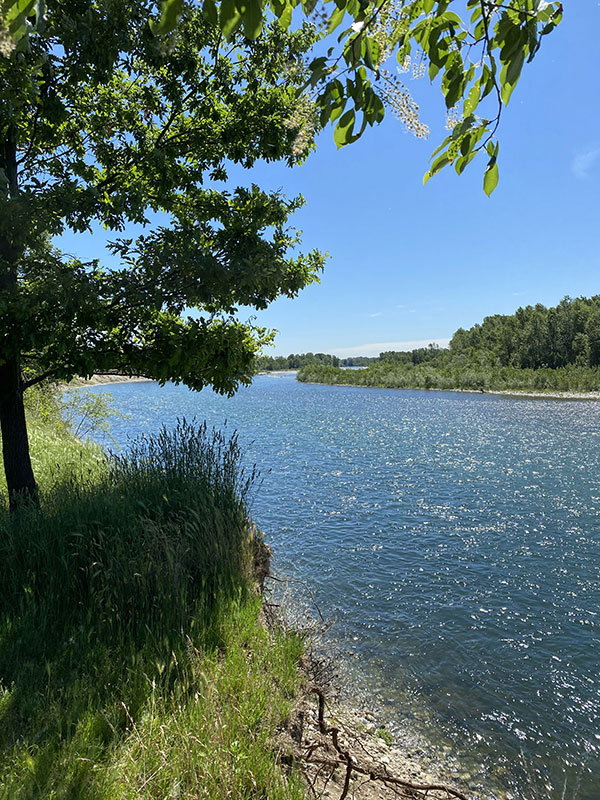 Scorcio-Fiume-Ticino-da-piccolo-terrazzamento