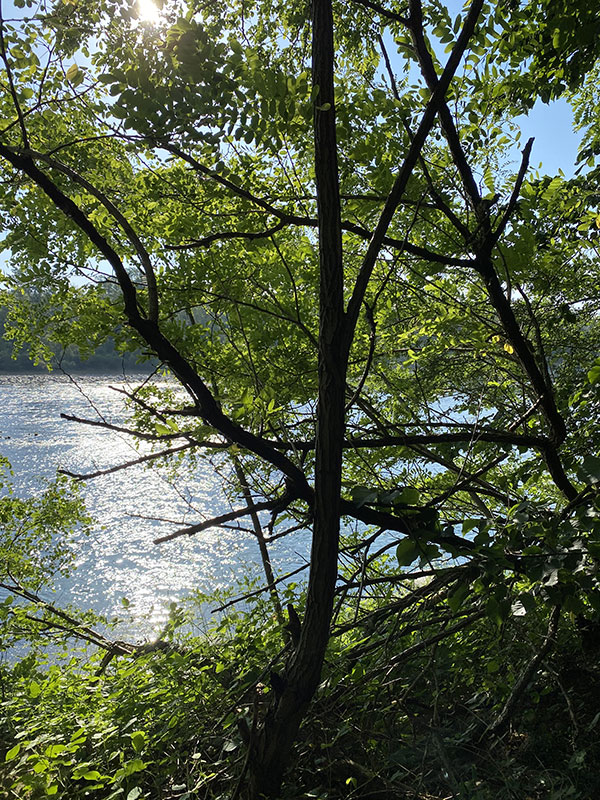 Scorcio-Fiume-Ticino