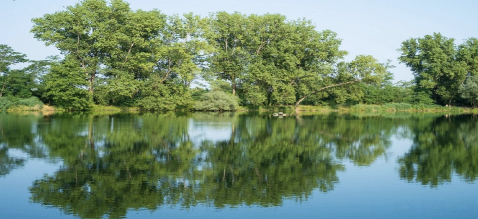 lago